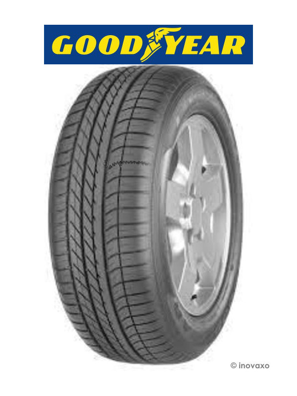 Pneu Goodyear 255/50R19 103 Y EF1 A2 SU N0 FP